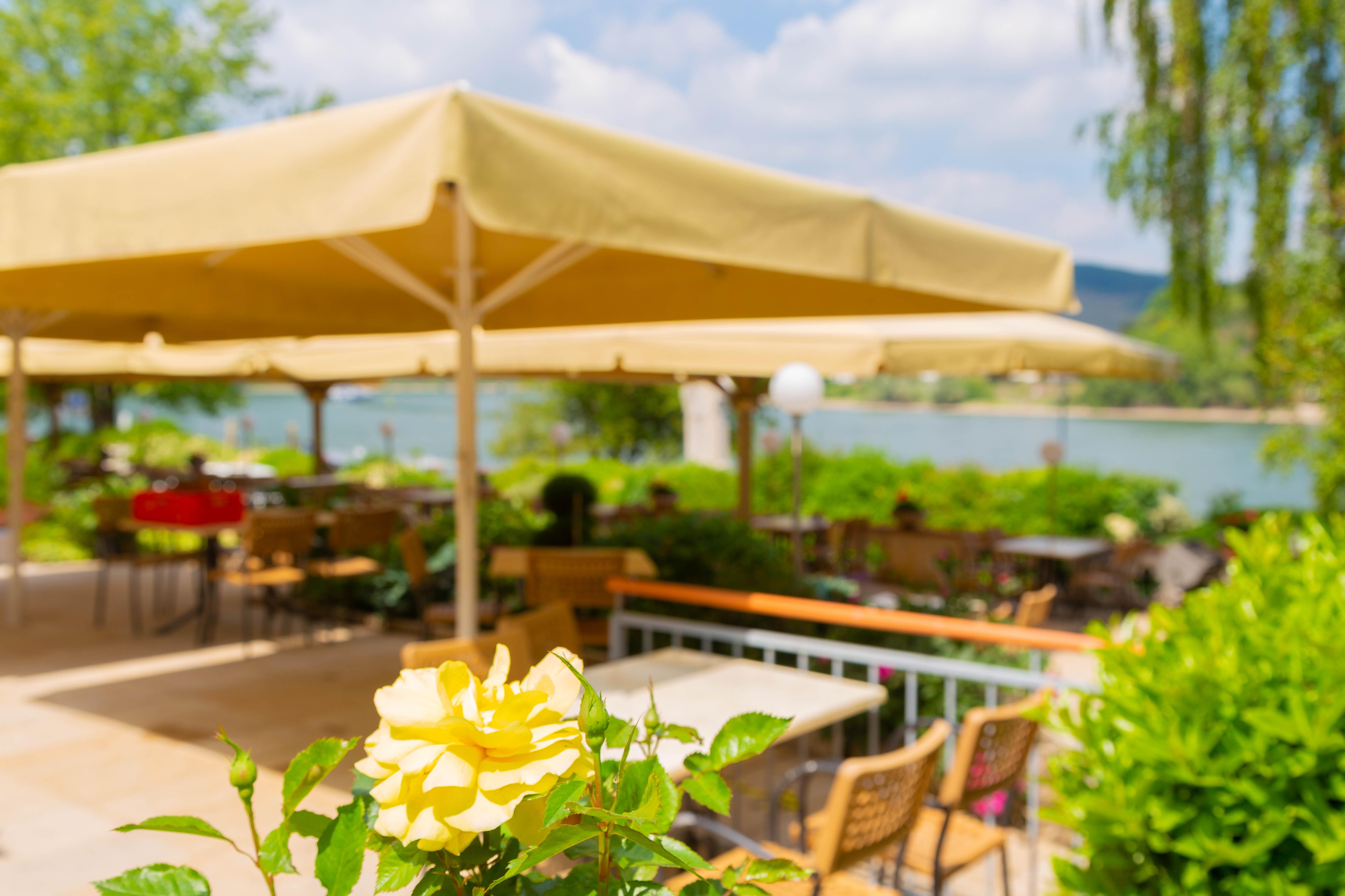 Das Ebertor - Hotel & Hostel Boppard Eksteriør bilde